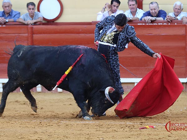 Tirando del negro