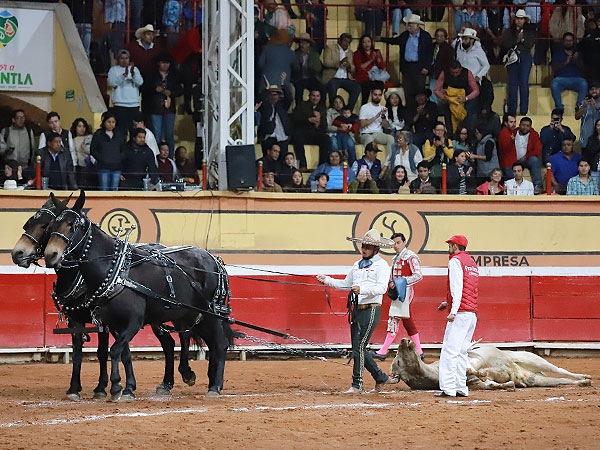 Gran Toro de El Salitrillo
