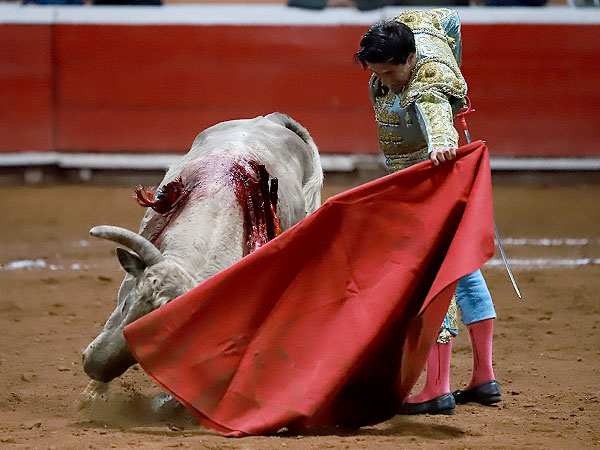 Transmisi�n y bravura