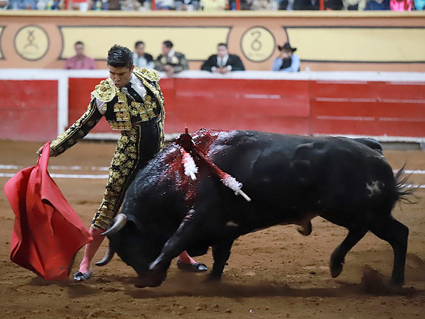 Apuntando el toreo bueno