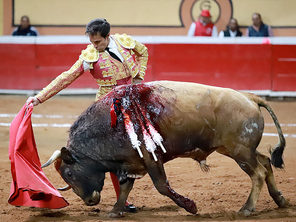 Metido en la muleta