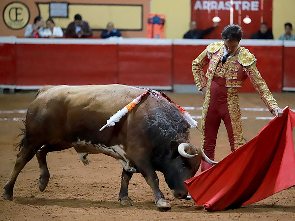 Tauromaquia depurada