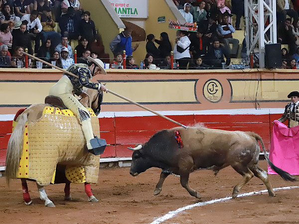 Acudiendo al caballo