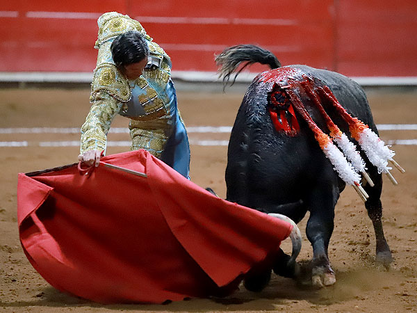 Acariciando la embestida