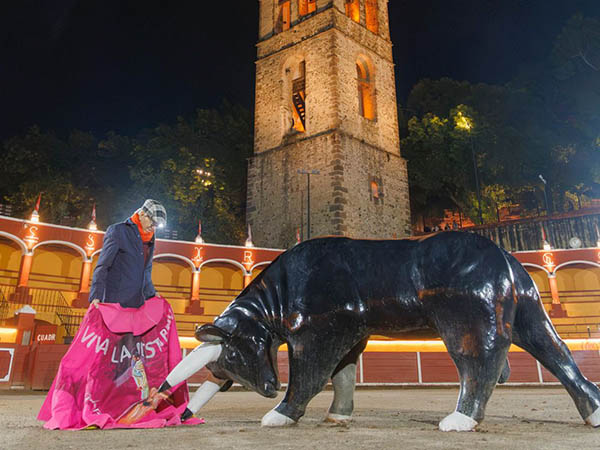 Diferentes manifestaciones del arte