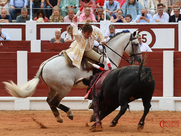 Banderilla al estribo