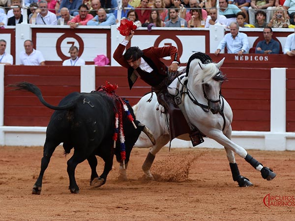 Rosas en el morrillo