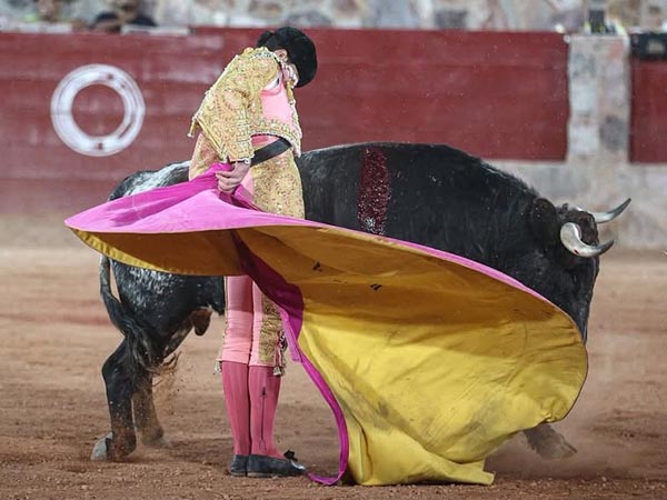 Los vuelos del percal