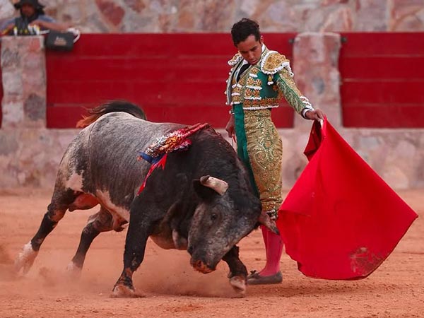 La izquierda de Leo