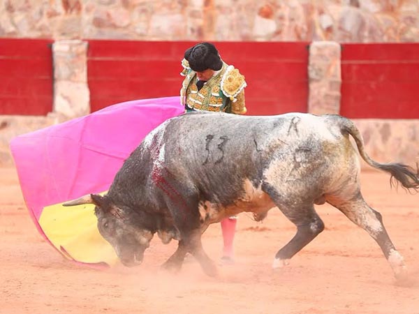 Remate de revolera
