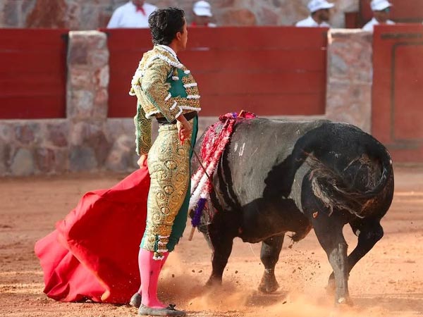 La mirada en el tendido