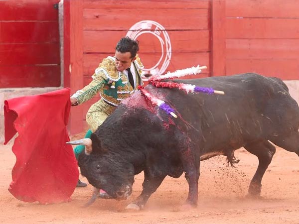 Trazo largo