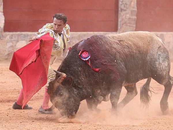 El derecho del salinero