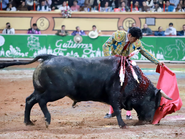 Tauromaquia y seguridad