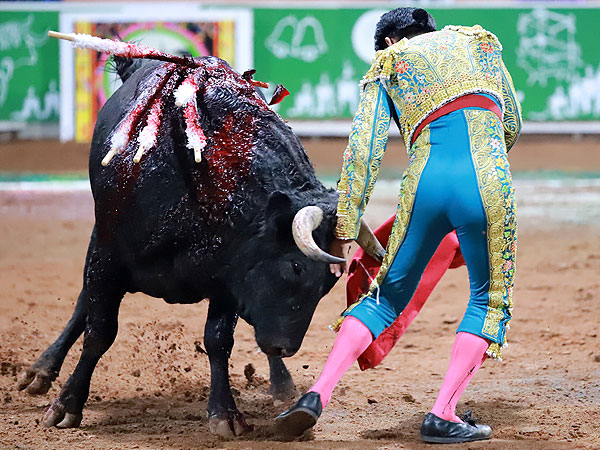 Lote complicado