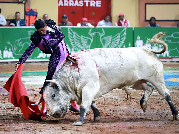 Un torero con verdad
