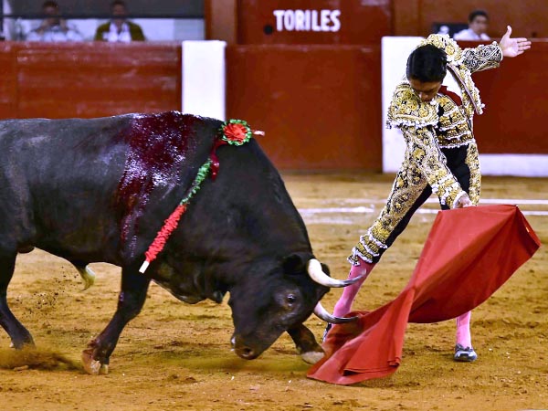 Cornivuelto