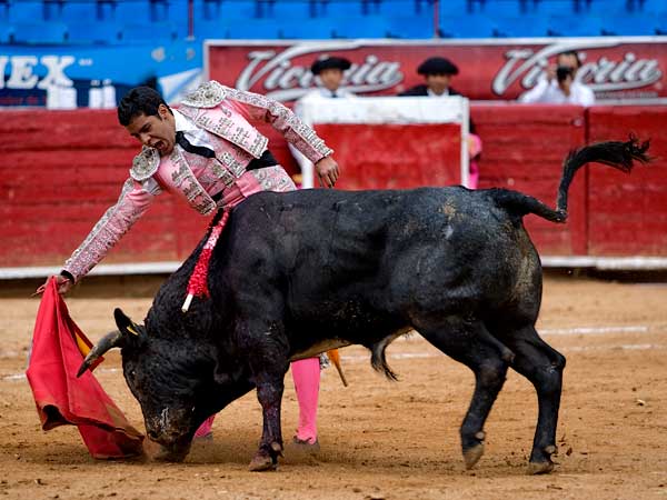 Dej� escapar la oportunidad