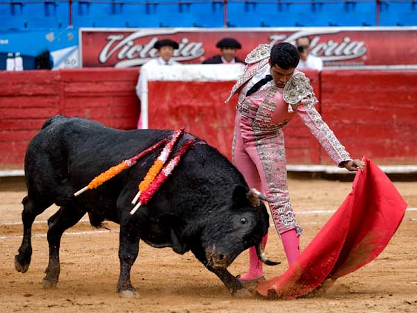 Met�a bien la cabeza