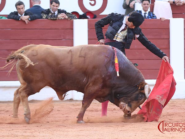 Con la montera puesta