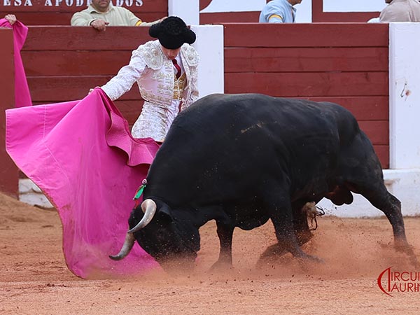 Primeros lances
