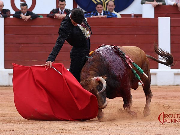 Ce�idos pases
