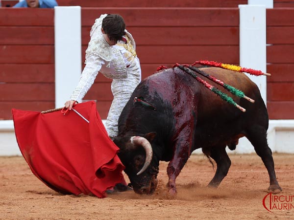 Metiendo la cara