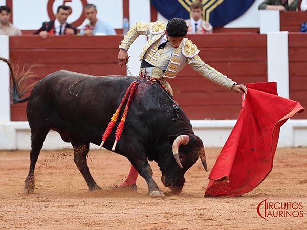 Trazo largo