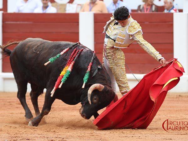 Tirando del ejemplar
