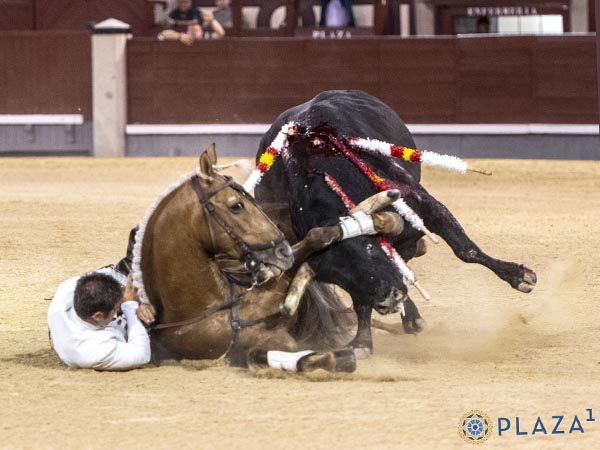 Ceb�ndose con jaca y jinete