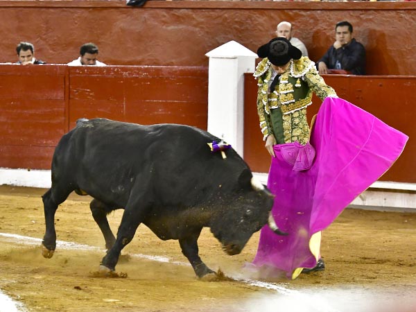 Saludo a la ver�nica