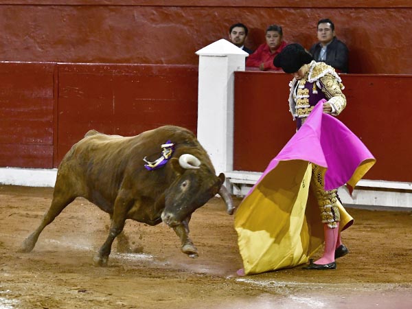 Recibo sobre las rayas