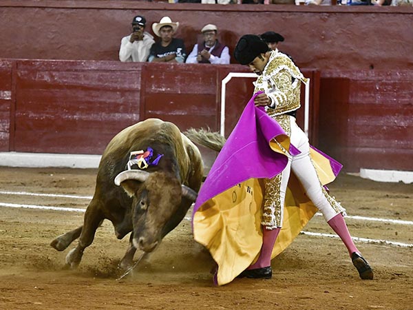 Firme ante el ejemplar