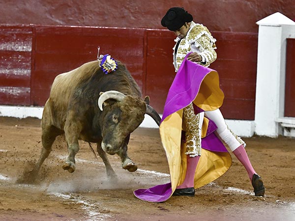 Manos por delante