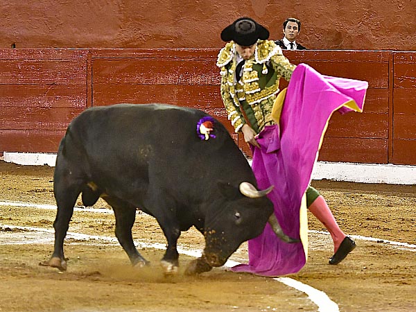 Rozando el percal