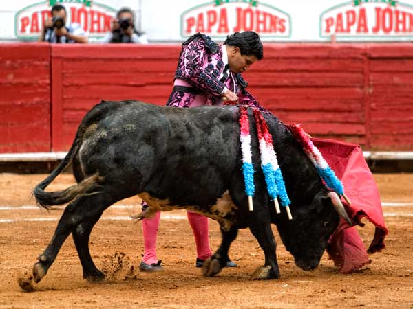 Intentando hacer faena