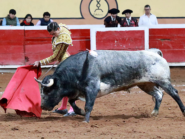 Trasteo variado