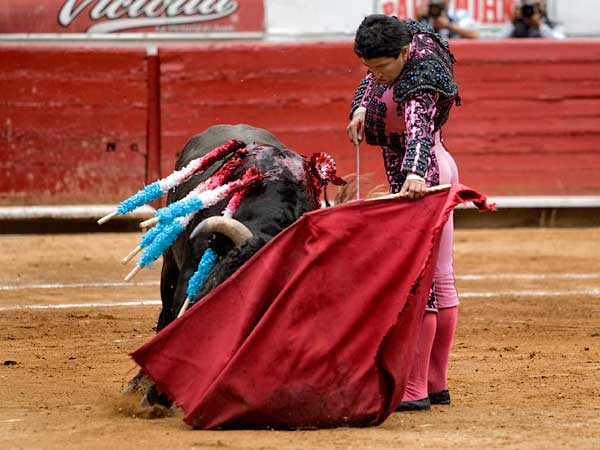 Conrado, siempre profesional