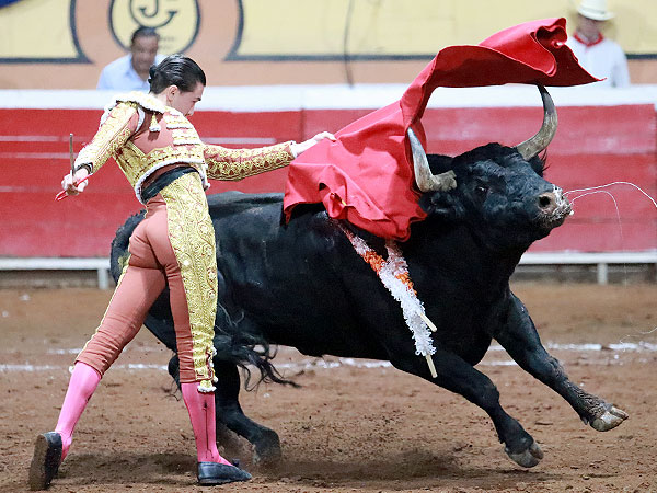 El de pecho
