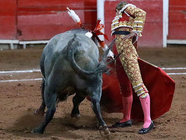 Metiendo al toro en la muleta