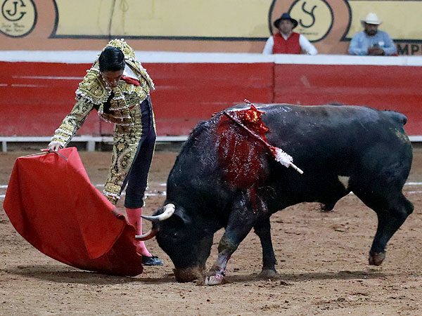 El Maestro Sergio Flores