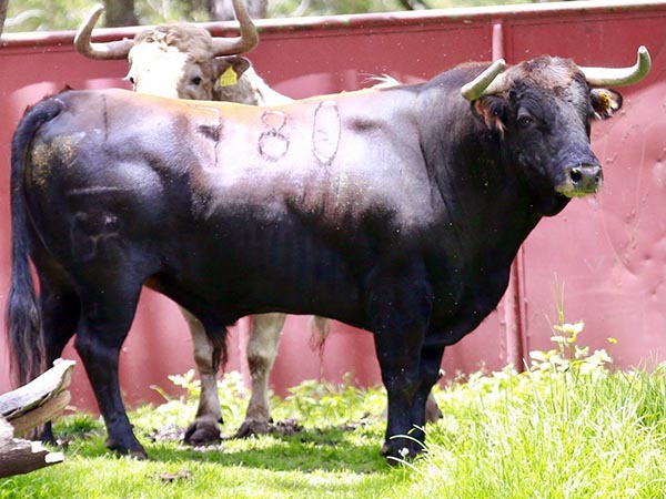 Toro No. 780, 