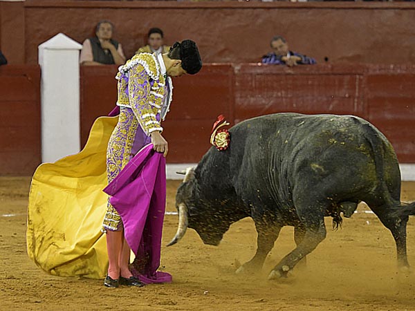 Jaleado en las chicuelinas