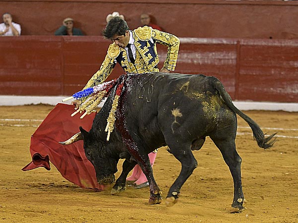 Marcando el camino