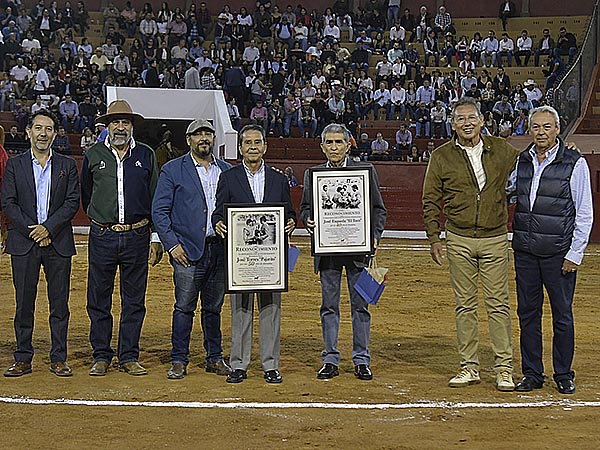 Reconocimientos en el albero