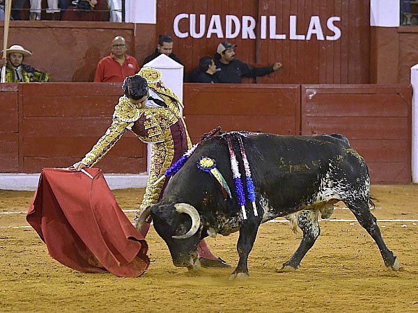 Entonadas tandas