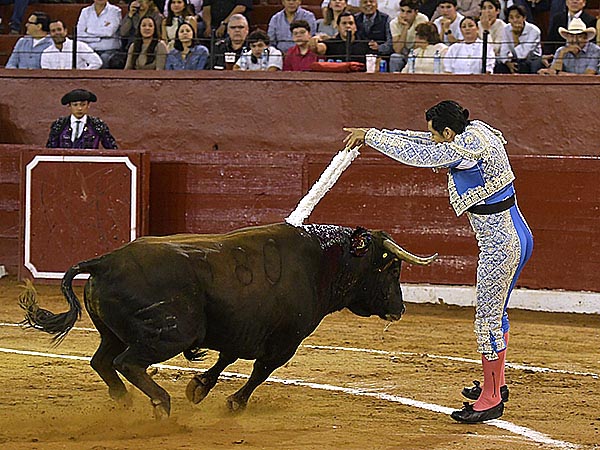 Maestro banderillero