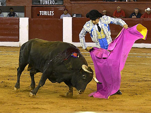 Las navarras