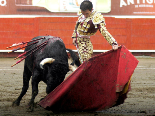 Templando bajo la lluvia