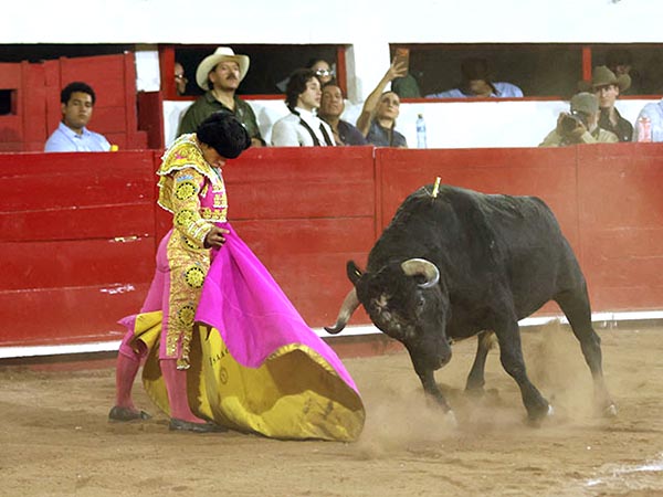 Ver�nicas de Fonseca